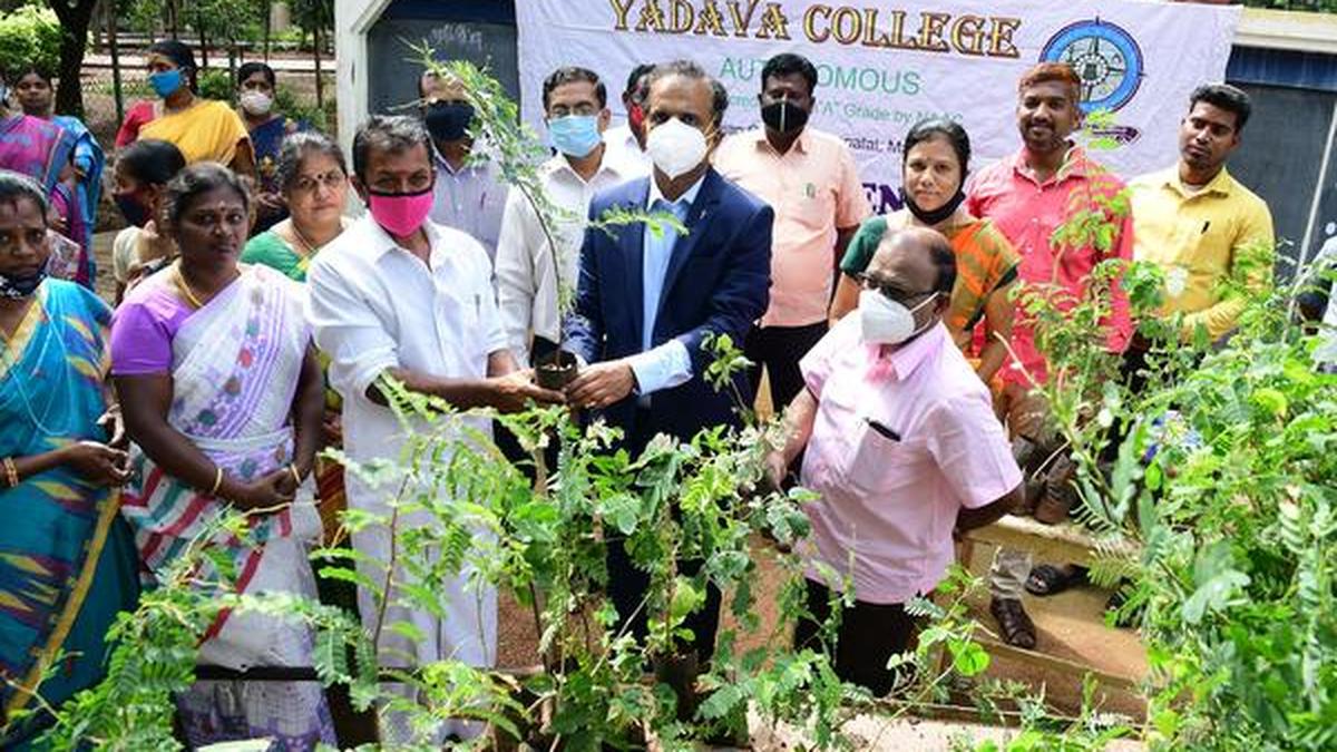 Seed Balls And Saplings Distributed The Hindu