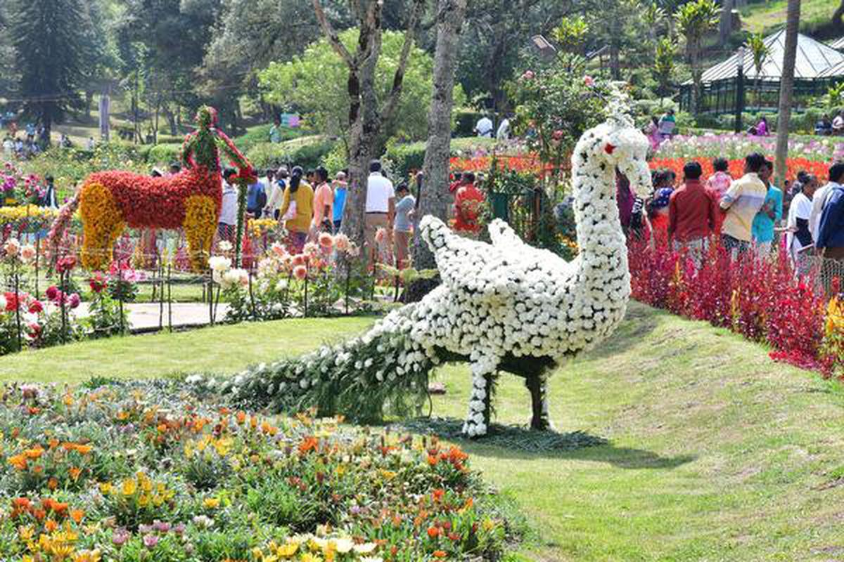 Kodaikanal Flower Show 2025: A Blooming Spectacle