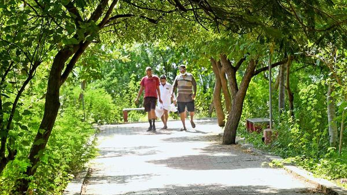 Parks in Madurai city slowly come back to life The Hindu