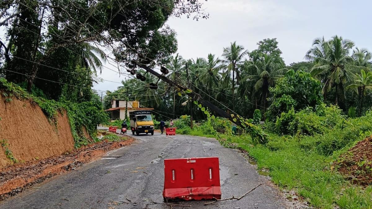 Gusty winds bring down over 500 electricity poles in DK, Udupi districts