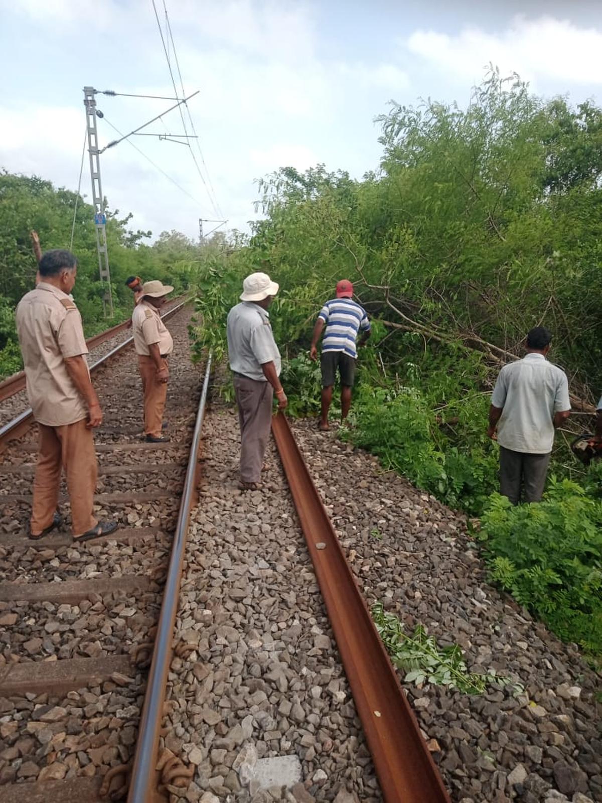 கொங்கன் ரயில்வே கார்ப்பரேஷன் லிமிடெட் பணியாளர்கள், மஹாராஷ்டிராவின் ரோஹாவிலிருந்து கர்நாடகாவின் தோகூர் வரையிலான 730 கிமீ நெட்வொர்க்கில் உள்ள அபாயகரமான மரங்களை மழைக்காலத்திற்கு தயார்படுத்தும் பணியில் ஈடுபட்டுள்ளனர். 