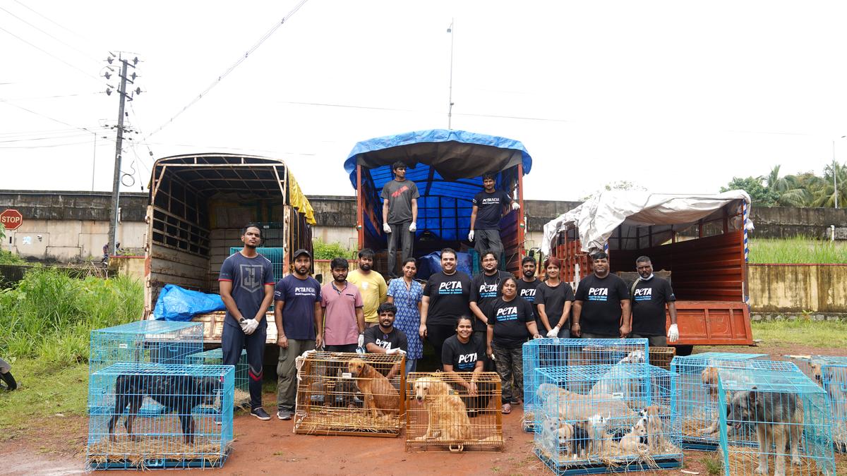 Nearly 100 animals rescued from unlicensed ‘animal rescue centre’ in Udupi district