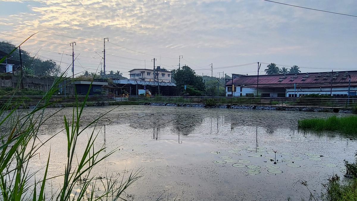 Moily Kere turns back to a slush pool due to lack of maintenance