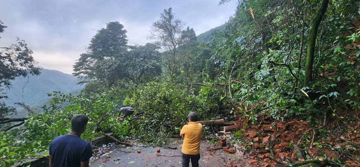 Karnataka Bayındırlık Departmanı Personeli Ulusal Karayolları Bölümü, 20 Eylül 2025'te Shivamogga Bölgesi'ndeki Agumbe Ghat'ın 6. saç pimi eğrisinde toprak kayma kalıntıları ve ağaçlarını temizledi. Karnataka Bayındırlık Departmanı Personeli Ulusal Karayolları Bölümü, 20 Eylül 2025'te Shivamogga Bölgesi'ndeki Agumbe Ghat'ın 6. saç pimi eğrisinde toprak kayma kalıntıları ve ağaçlarını temizledi.