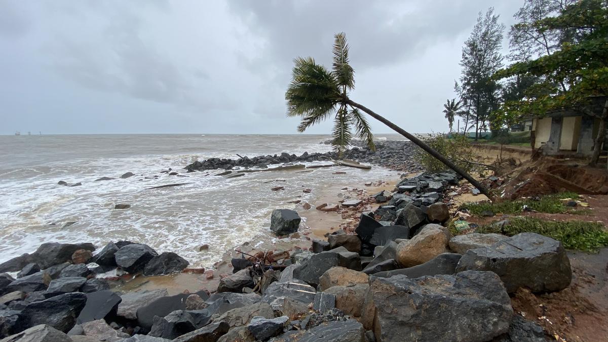 The Ports Department has proposed to build five groynes to arrest massive sea erosion between Uchhila and Batpady in Ullal taluk off Mangaluru.