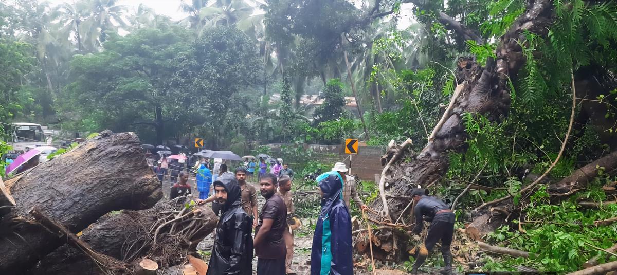Power supply went down after several electricity poles were brought down by gusty winds at Kallangala in Bantwal taluk of Dakshina Kannada district on Saturday. Power supply went down after several electricity poles were brought down by gusty winds at Kallangala in Bantwal taluk of Dakshina Kannada district on Saturday.