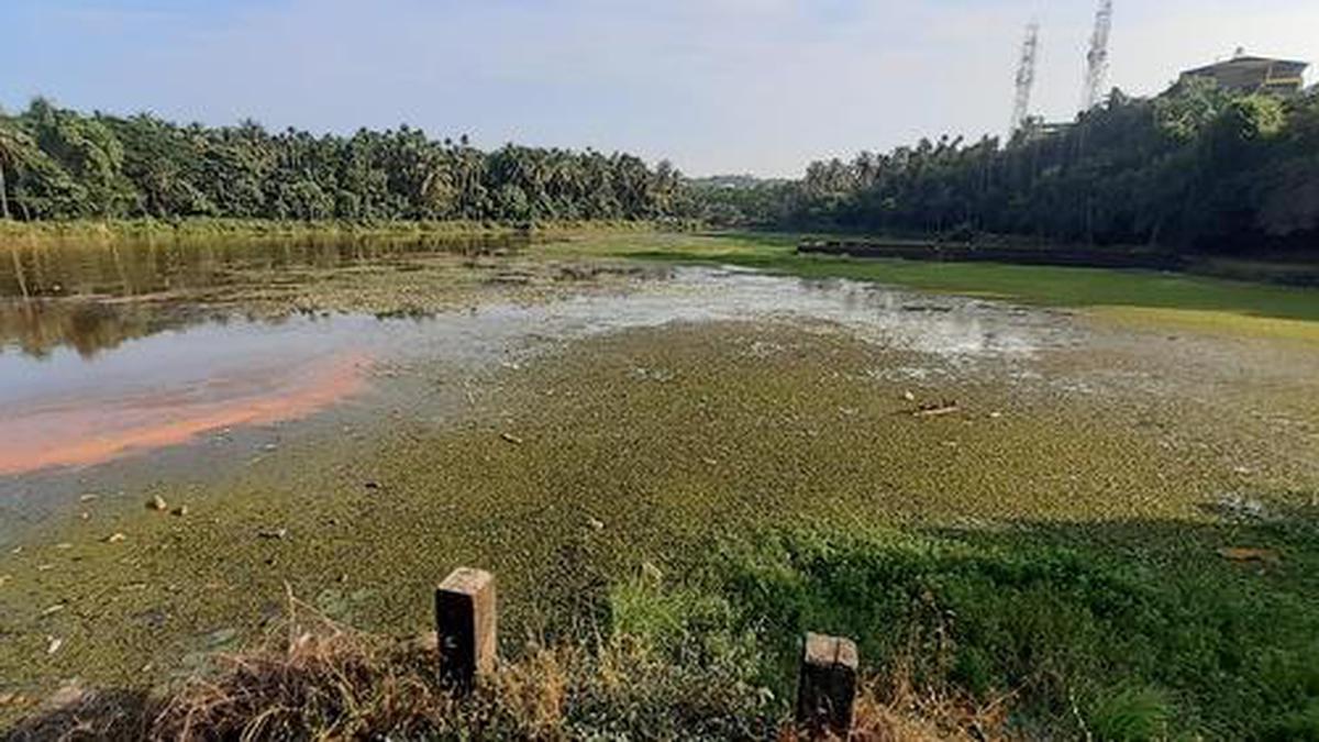 Smart City: Cycle track proposed at Kavoor lake - The Hindu