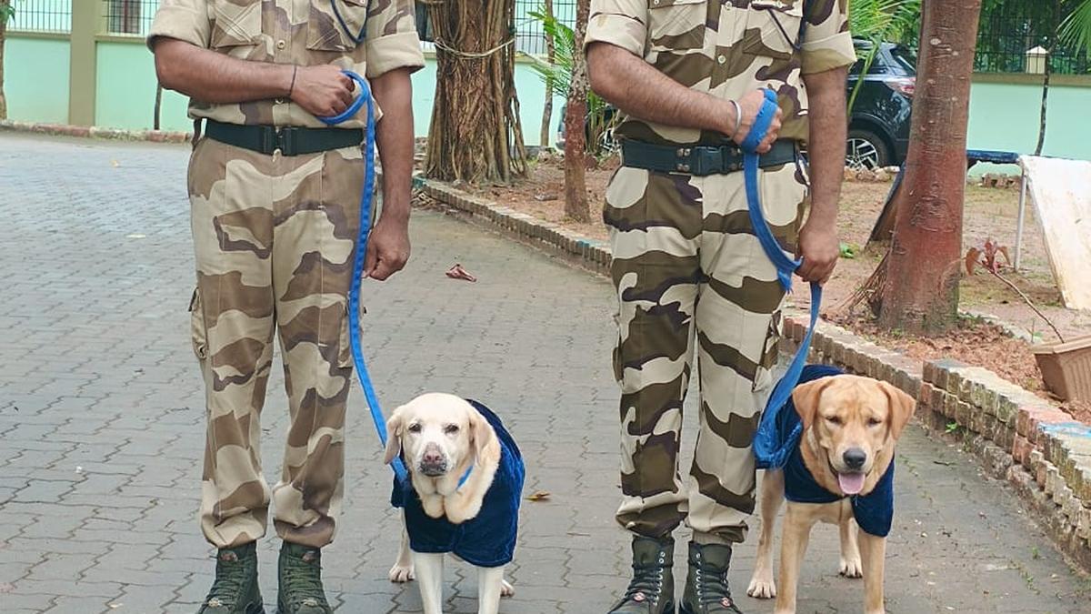 Rio the labrador joins Mangaluru International Airport dog squad