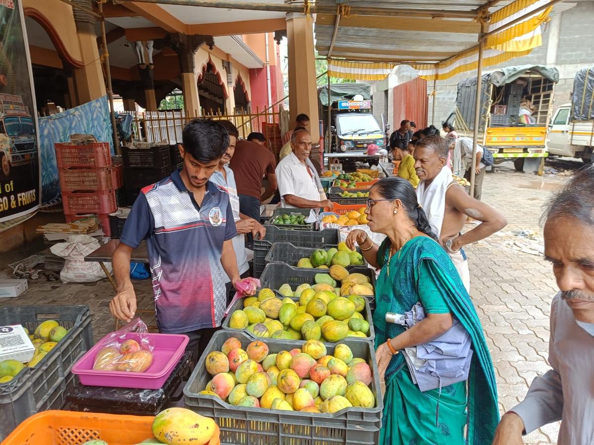 Visitors having a look at jackfruits and mangoes kept for display and sale at the week-long fruit fair that was inaugurated by Paryaya Puttige Mutt seer Sri Sugunendra Tirtha Swamiji at the Geeta Mandira, Krishna Mutt complex on Friday, June 13, in Udupi. Visitors having a look at jackfruits and mangoes kept for display and sale at the week-long fruit fair that was inaugurated by Paryaya Puttige Mutt seer Sri Sugunendra Tirtha Swamiji at the Geeta Mandira, Krishna Mutt complex on Friday, June 13, in Udupi.