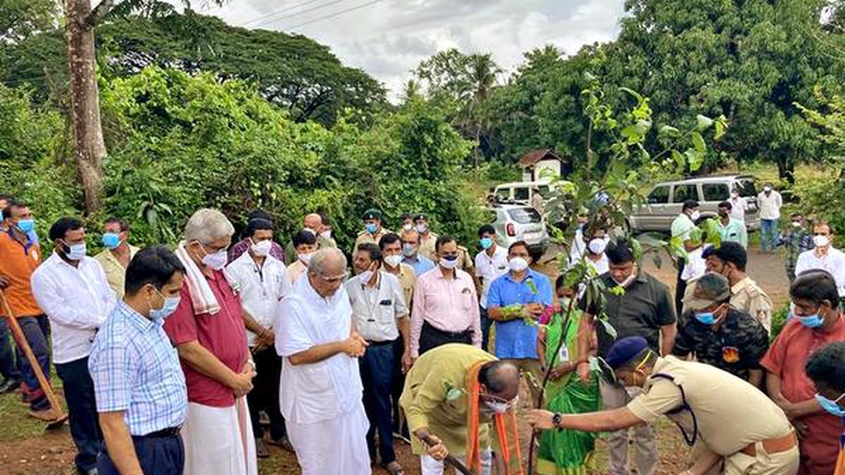 Plant as many trees as possible: Limbavali - The Hindu