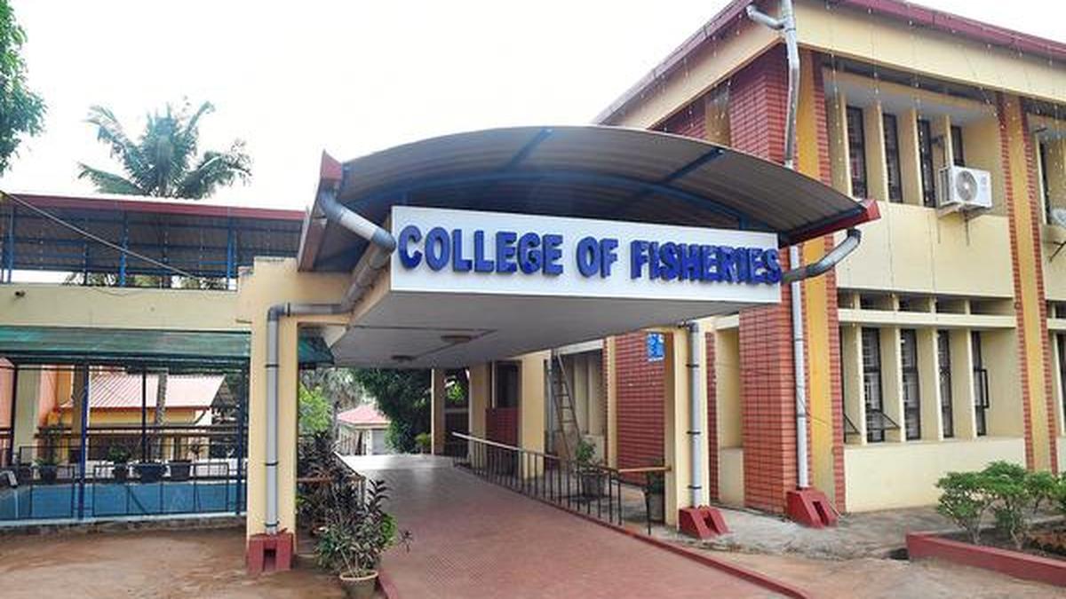 College of Fisheries in city seeks university tag - The Hindu