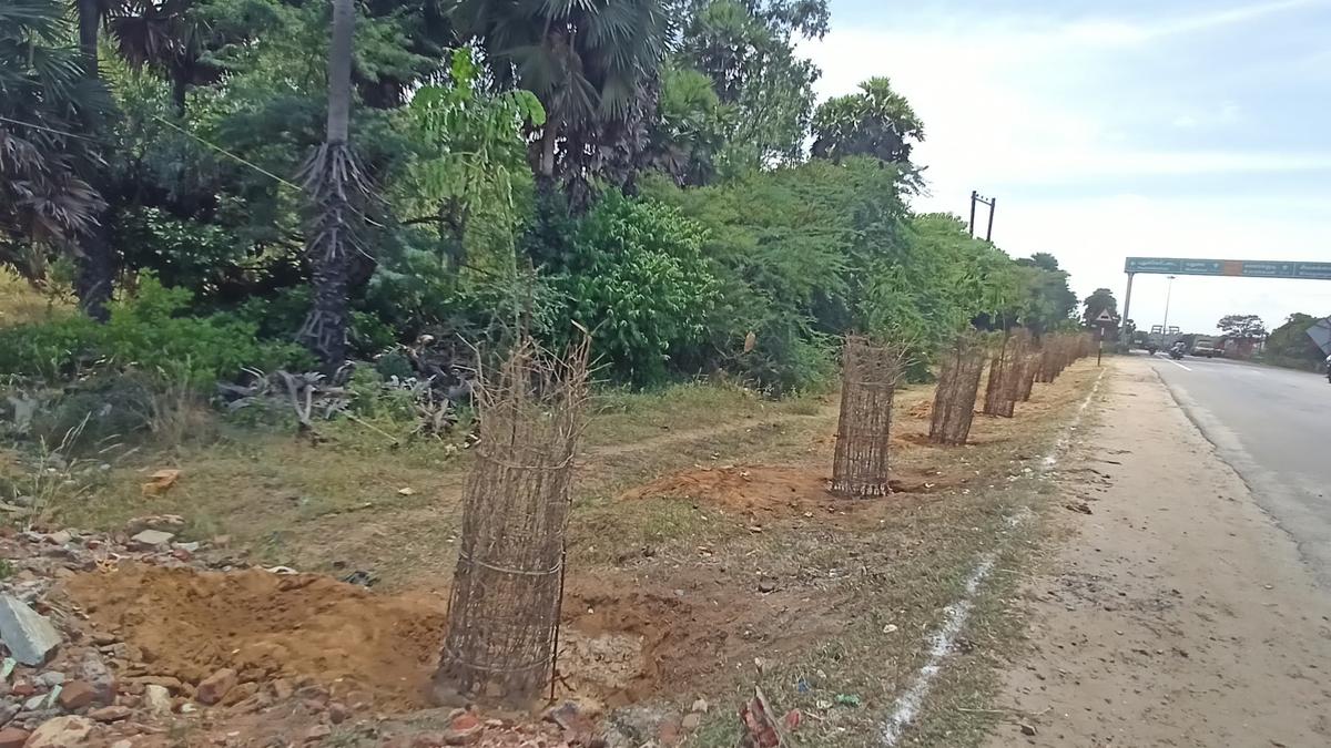 NHAI finalises contract for strengthening of 55-km Thanjavur-Pudukottai highway stretch