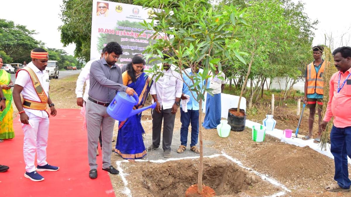 State highway stretches in Perambalur district set to go green
