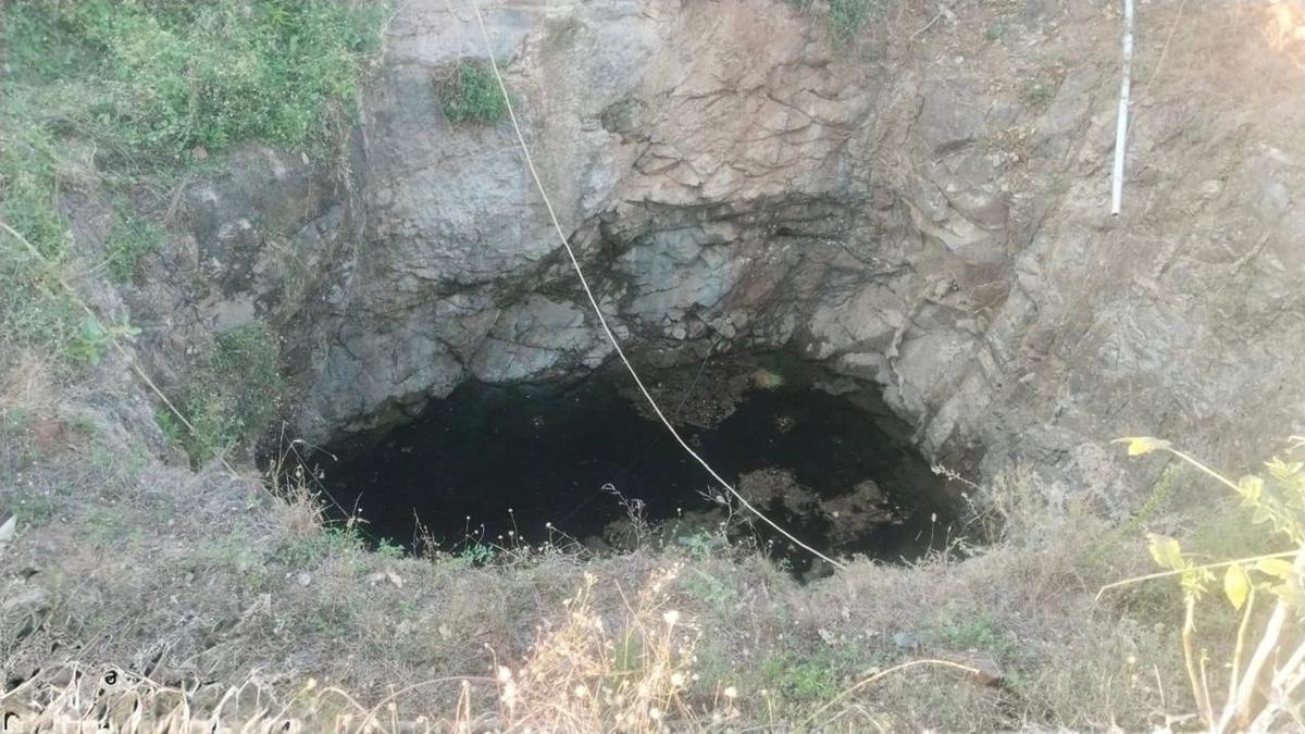 Forest Department compiling details of open wells nearby reserve forests in Manapparai and Thuvarankurichi