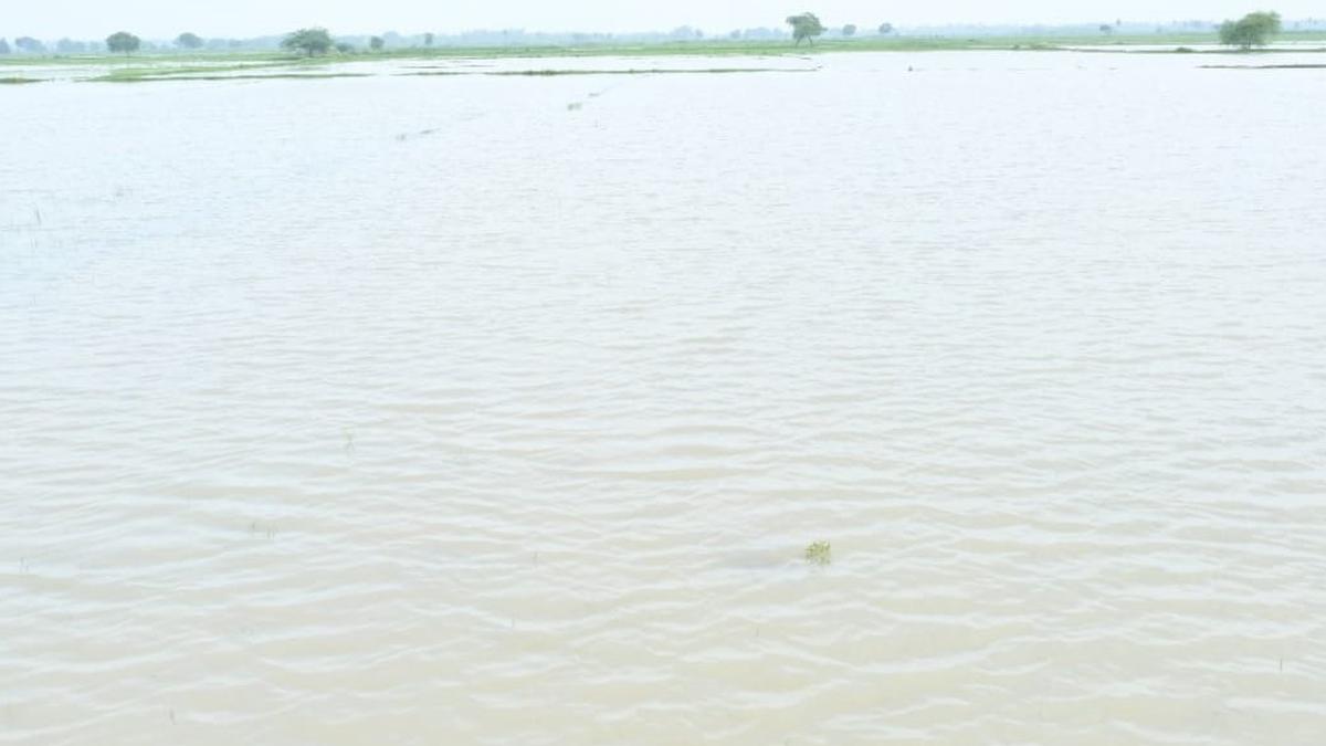 Focus shifts to draining water from inundated fields in Mayiladuthurai, Nagapttinam districts