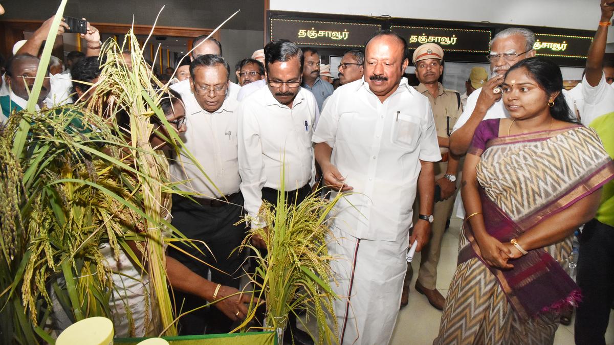 More than 9 lakh farmers benefited from kuruvai special package, says  Minister