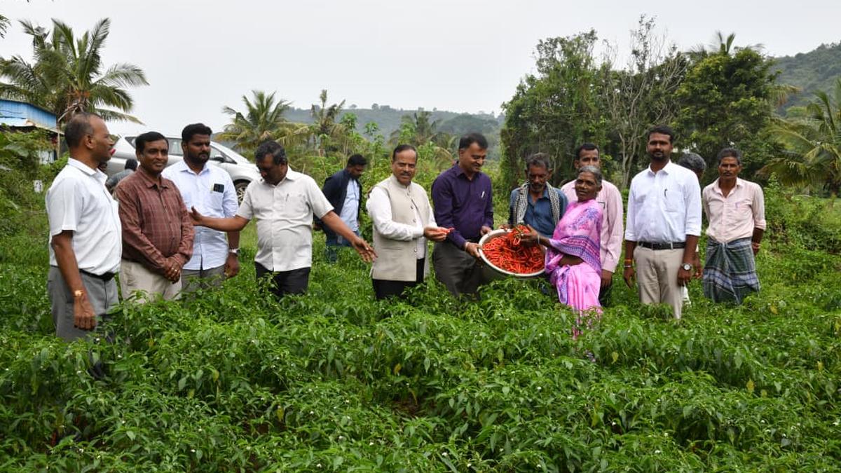 Indian Institute of Horticultural Research to procure seeds from Pachamalai farmers