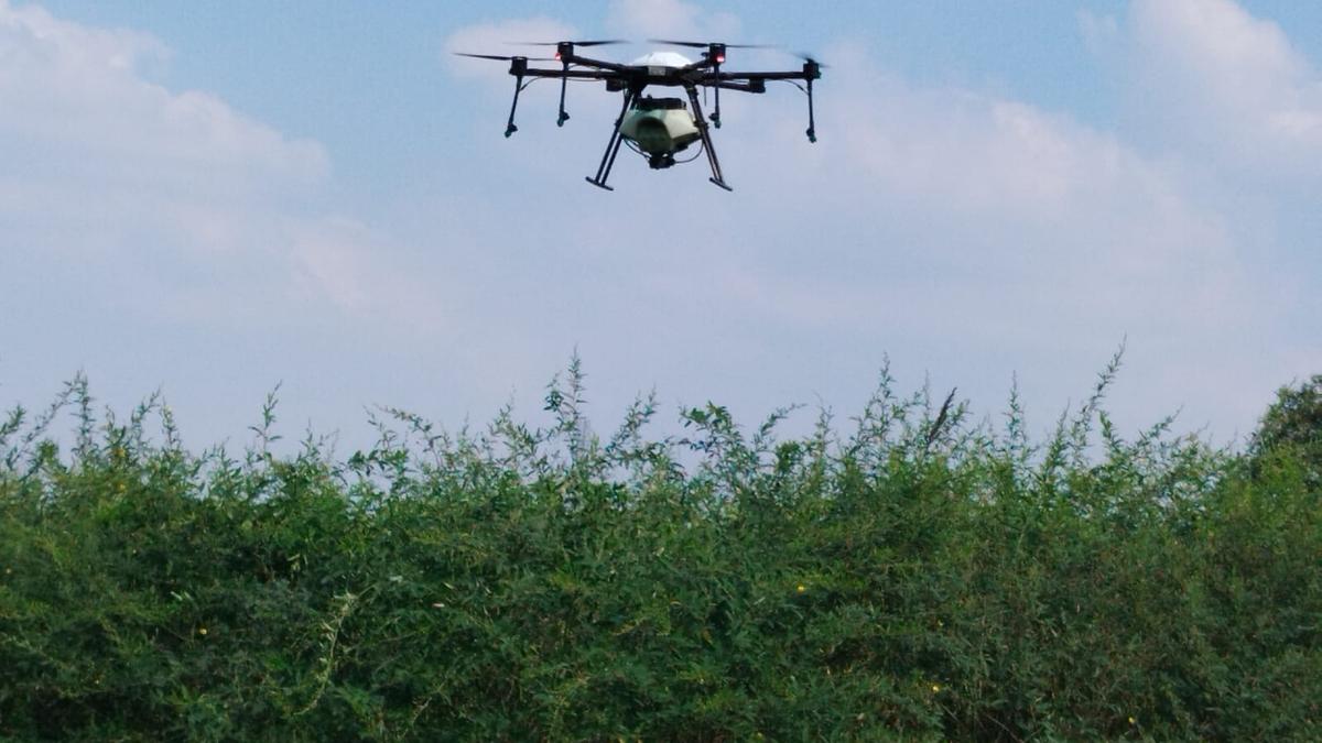 Farmers cultivating red gram crop advised to use drones for pest control