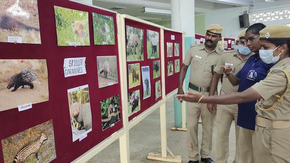 Rally, Photo Expo Mark Wildlife Week Celebrations - The Hindu