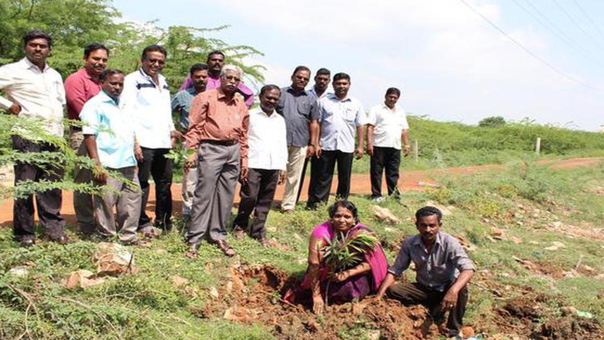 Voluntary clearing of seemai karuvelam trees begins The Hindu