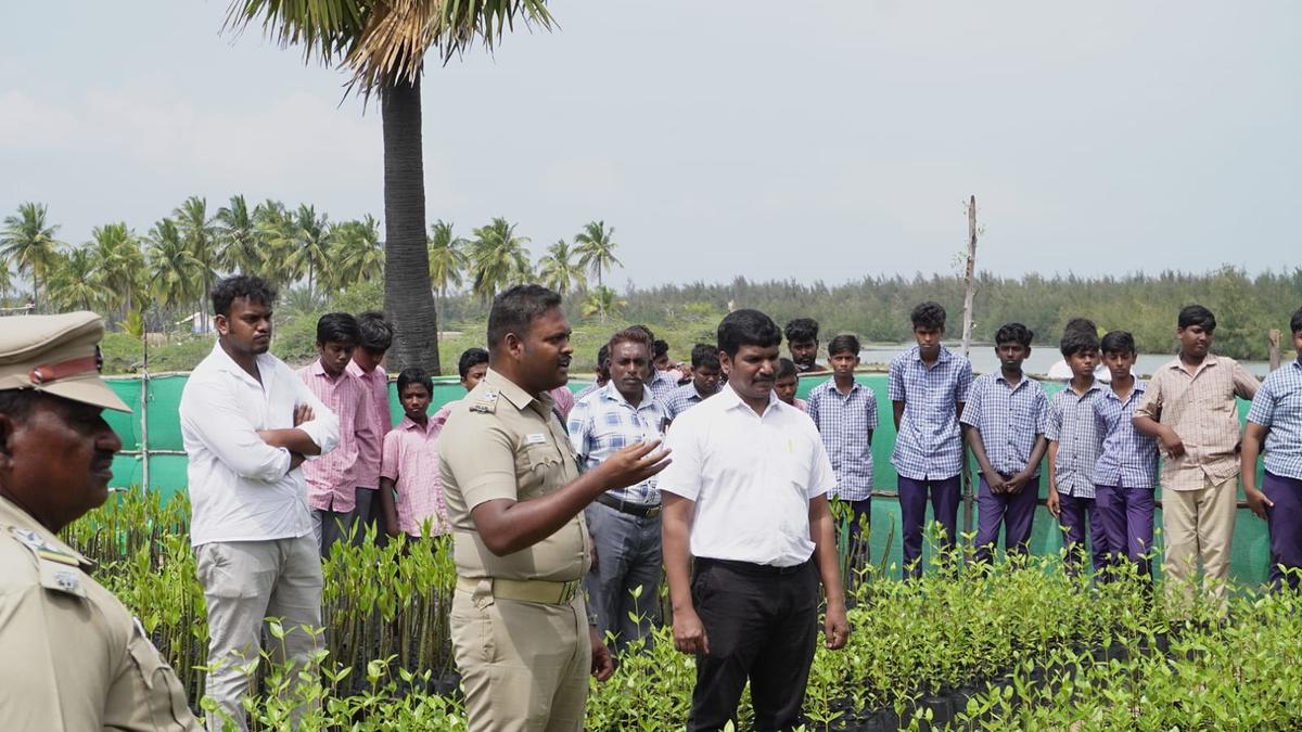 Importance of mangroves in coast areas of Pudukottai stressed