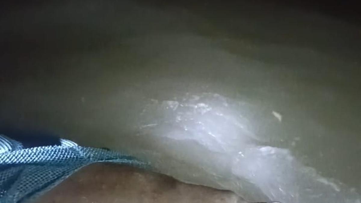 Fishermen rescue Dugong that got entangled in net