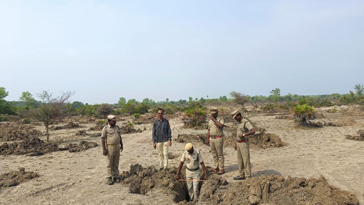 Mass planting of tree seedlings inside reserve forests to enhance green cover in Perambalur