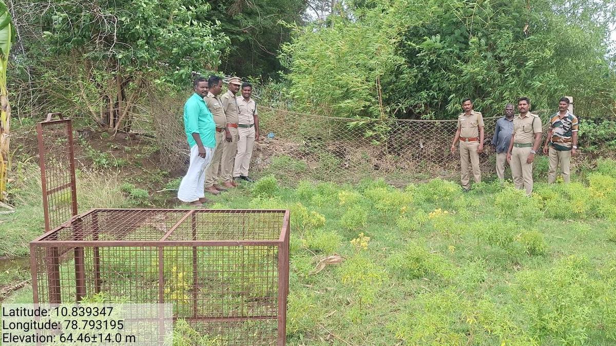 Two farmers injured in wild boar attack near Tiruchi