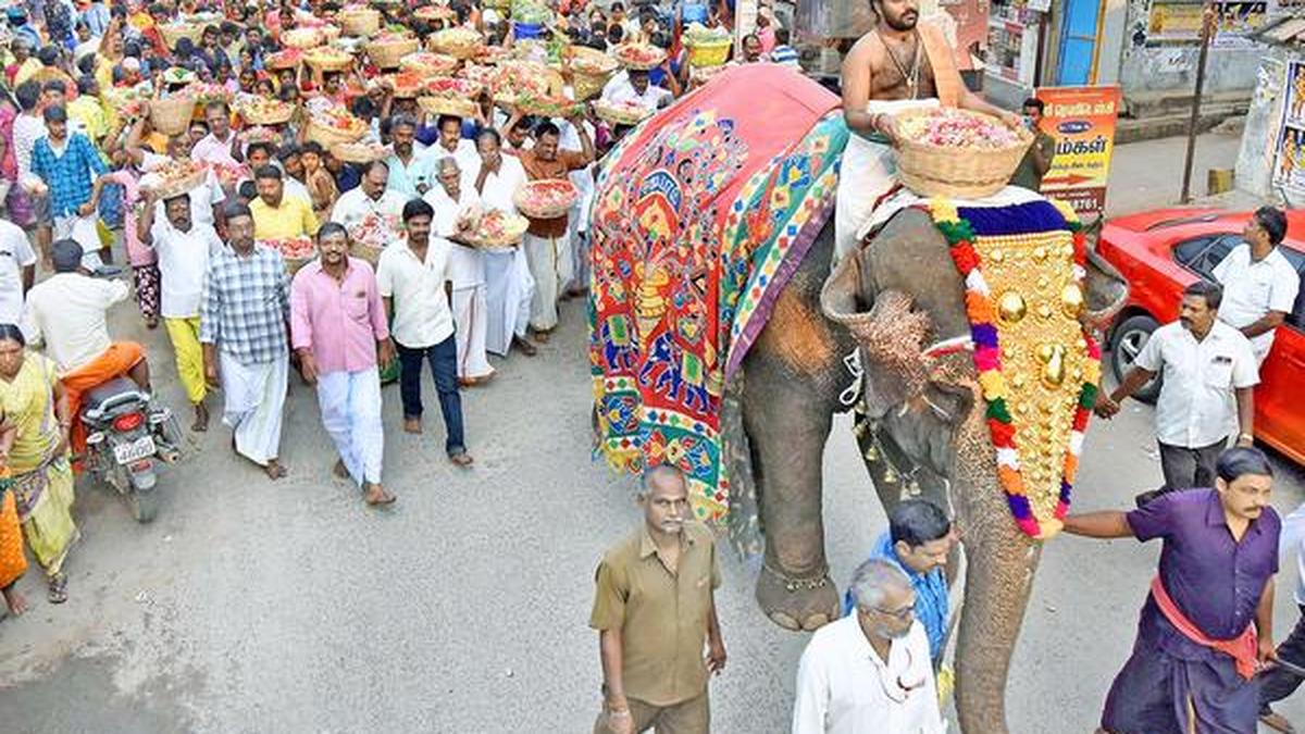 Poochorithal festival held at Samayapuram The Hindu