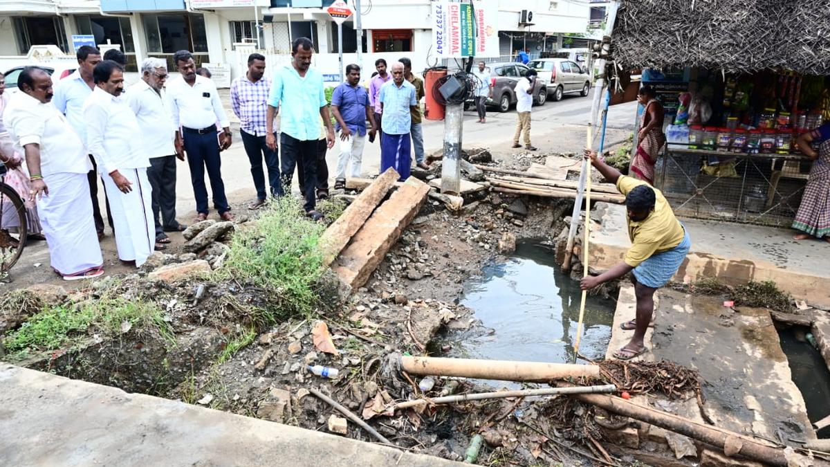 Tiruchi Corporation is ready for monsoon, says Mayor