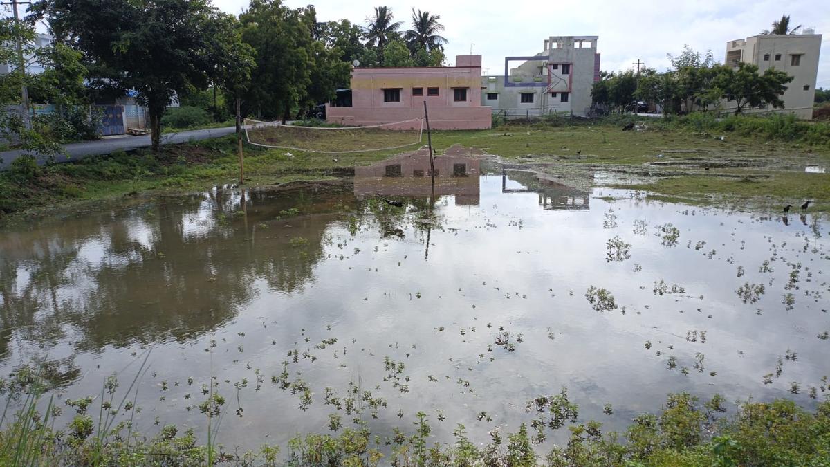 Residential plots turn into cesspools after recent rain in Tiruchi