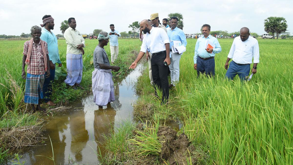 Mettur water flows to tail-end areas in delta region