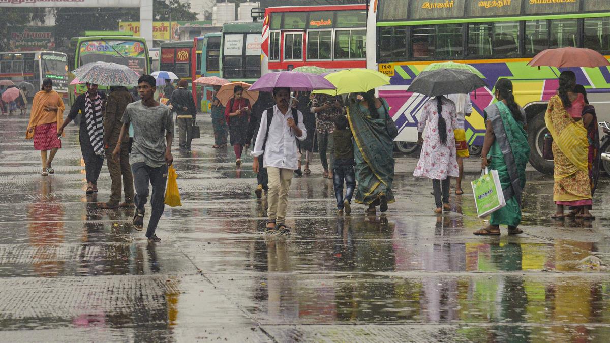 Heavy rain pounds Nagapattinam, Tiruvarur and Mayiladuthurai districts