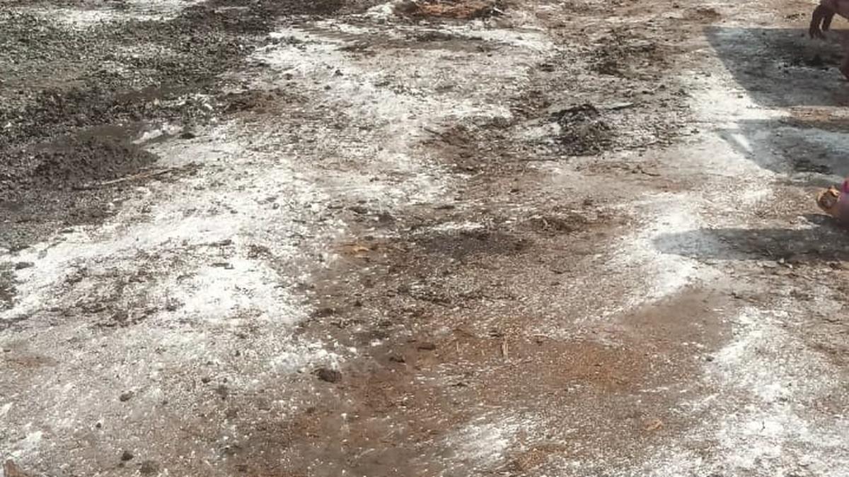 Tiruchi Corporation launches special drive to  improve conditions in and around Gandhi Market