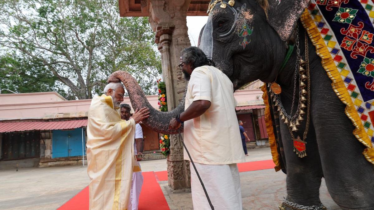Temple elephant plays a tune for Modi