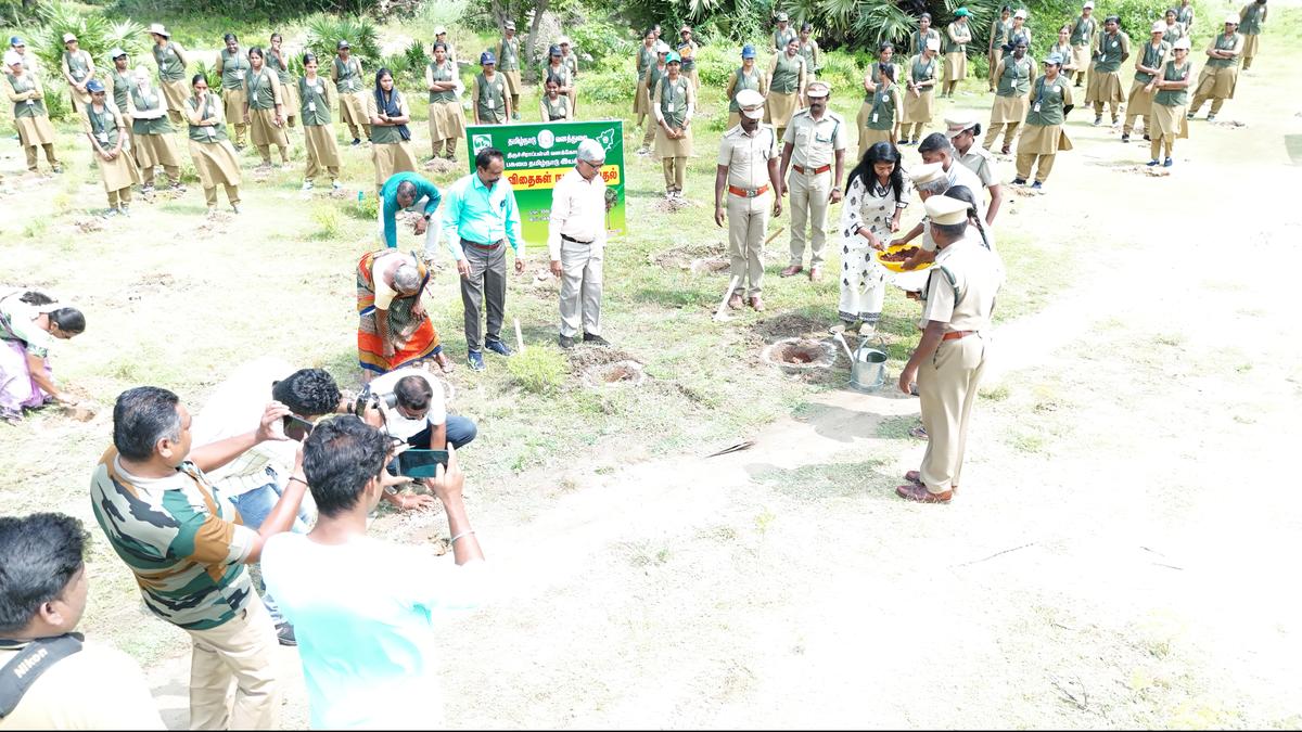 Mass planting of 20.7 lakh palmyra tree seeds to be taken up in Tiruchi district