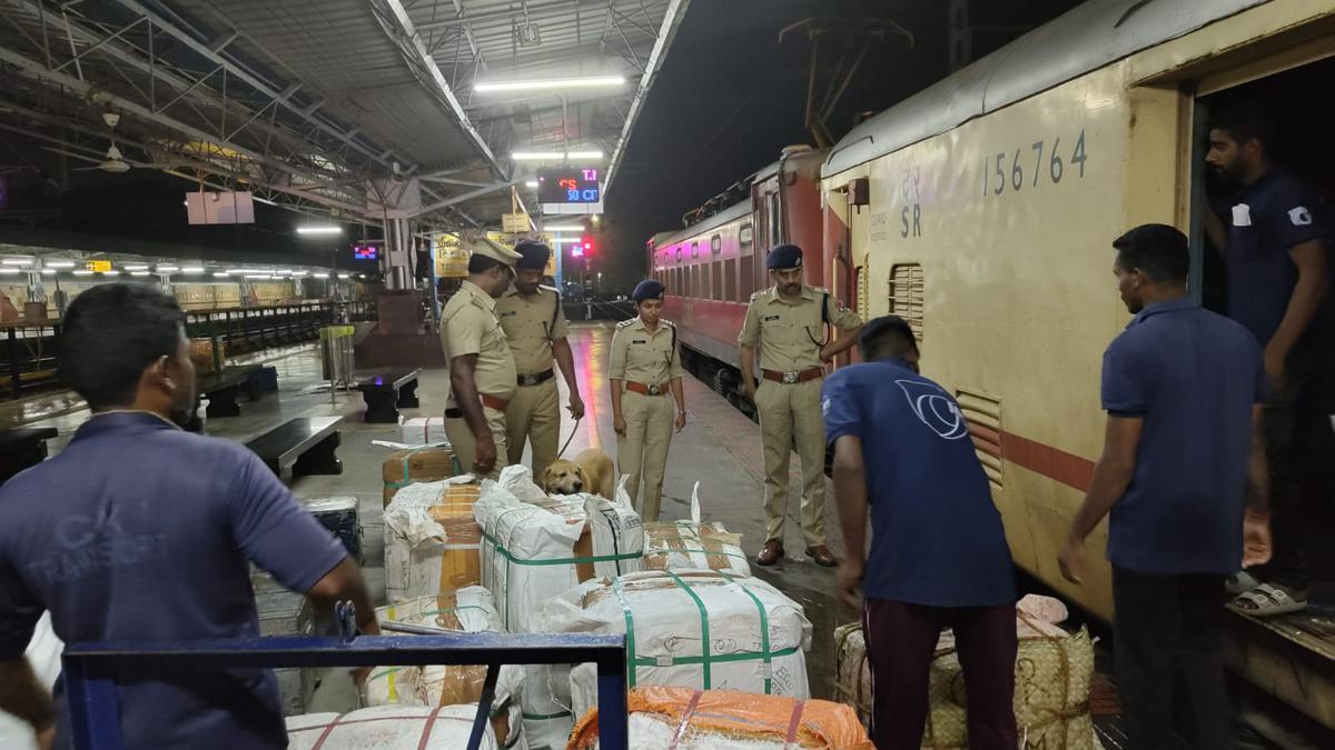 RPF intensifies checks for transport of inflammable articles by long-distance passenger trains