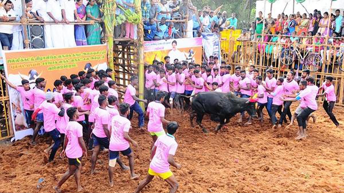 Spectator gored to death during jallikattu in Ariyalur district