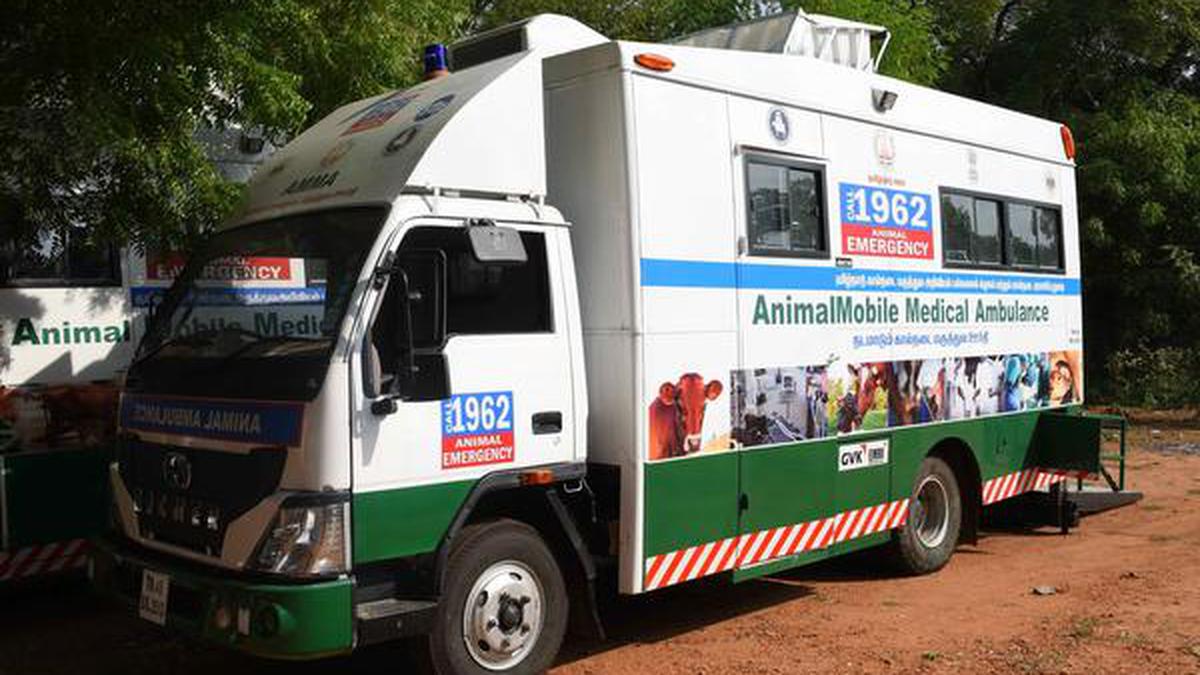 Animal ambulance service in limbo in Tiruchi - The Hindu