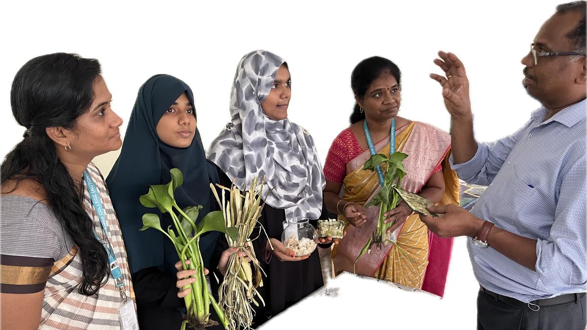 Students, faculty explore spinning yarn from water hyacinth