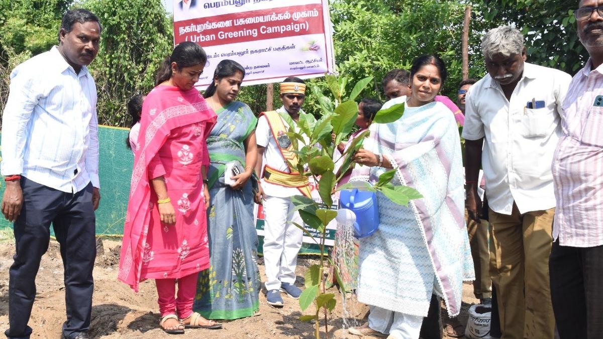Green initiative launched at public spots in Perambalur to plant seedlings after clearing garbage
