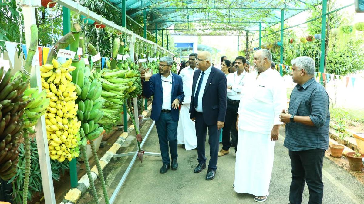 Incubation centre, hostel for trainees inaugurated at National Research Centre for Banana in Tiruchi