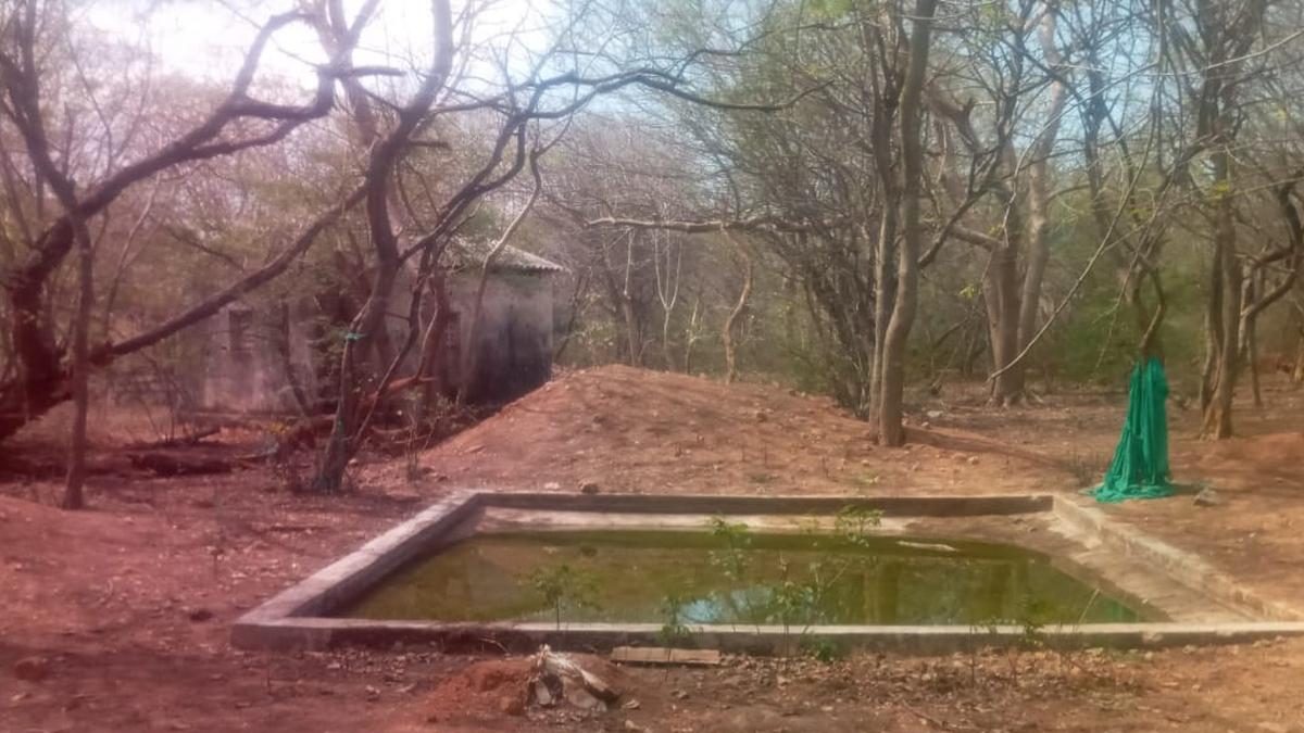 Forest department builds water troughs in Perambalur reserve forests to help birds, animals quench their thirst