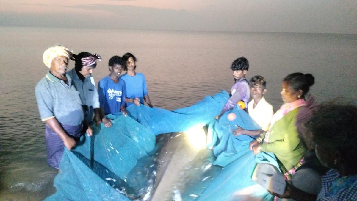 Dugong trapped in fishing net rescued, safely released into sea, near Thanjavur district