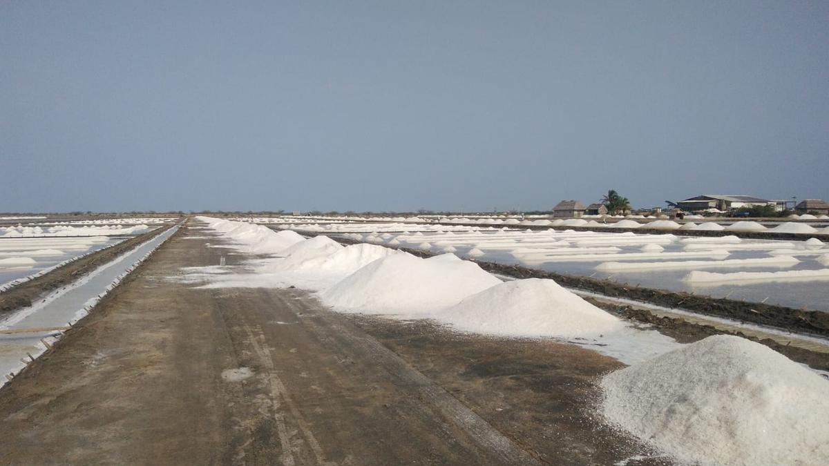 Increase in demand for salt at Vedaranyam following Thoothukudi flooding; prices rise