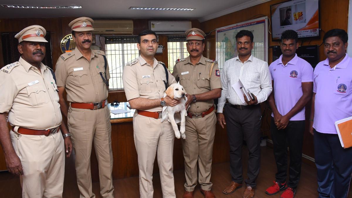 ‘Jenny’, the latest entrant to Perambalur Detective Dog Squad