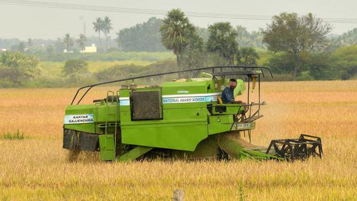 Samba harvest begins in a few areas in Tiruchi - The Hindu