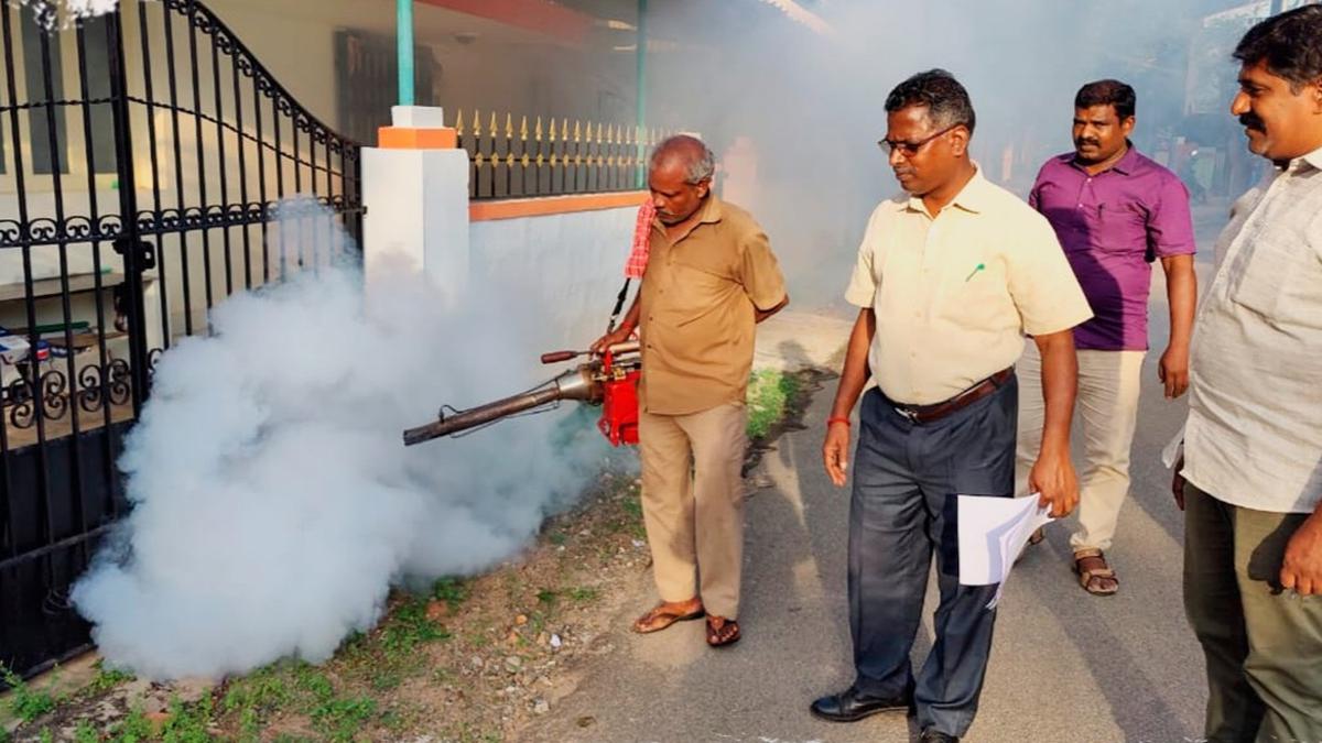Tiruchi Corporation intensifies anti-dengue drive