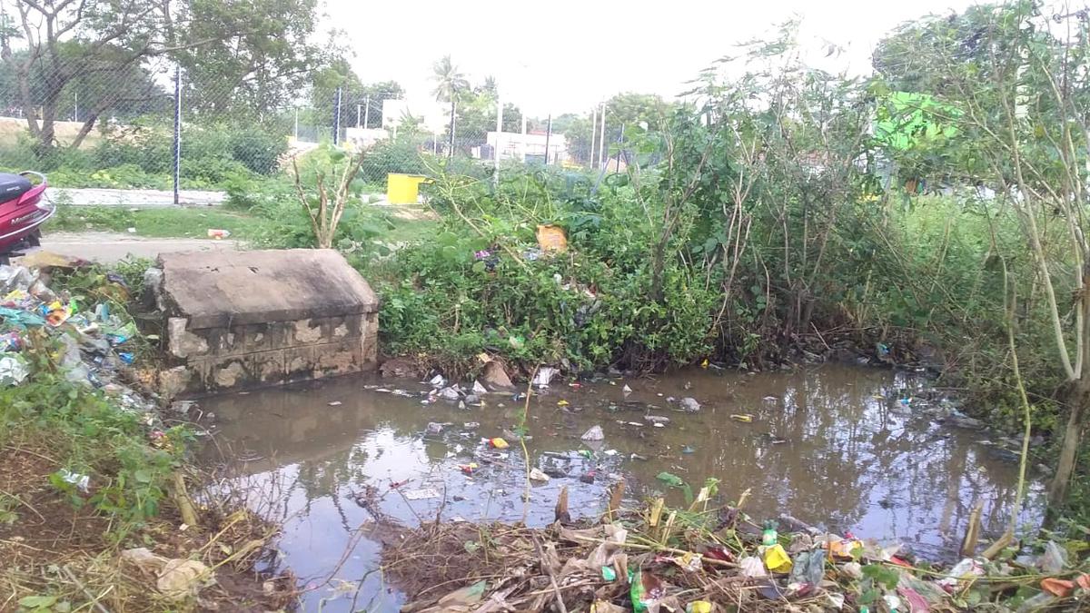 Sewage stagnation troubles residents in Manapparai