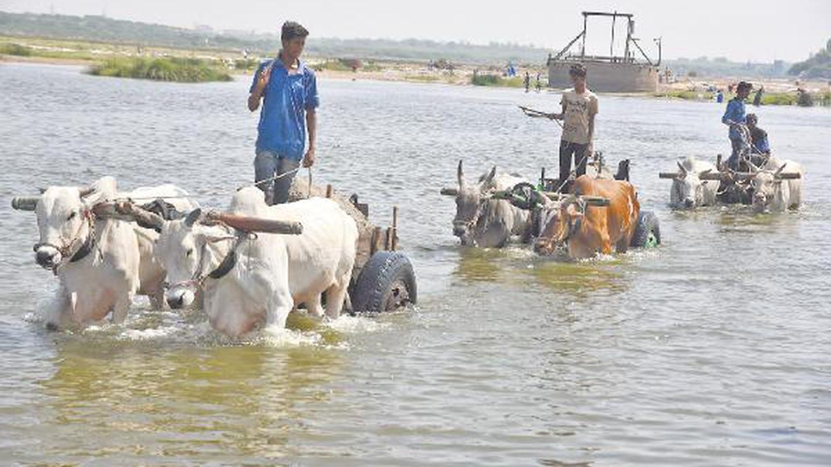 Illegal sand mining: Construction workers hit hard